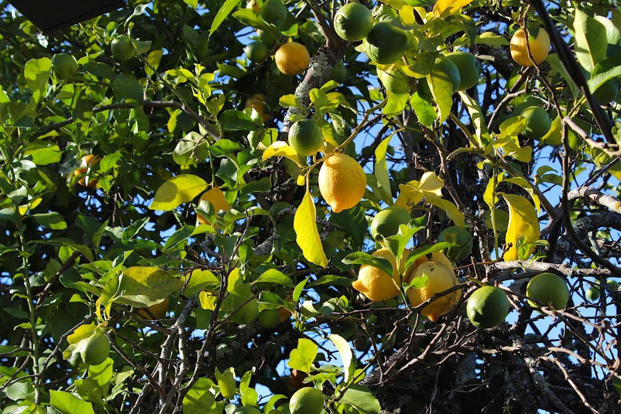 Recanto Tia Sao Magalhaes Понти-да-Барка Экстерьер фото